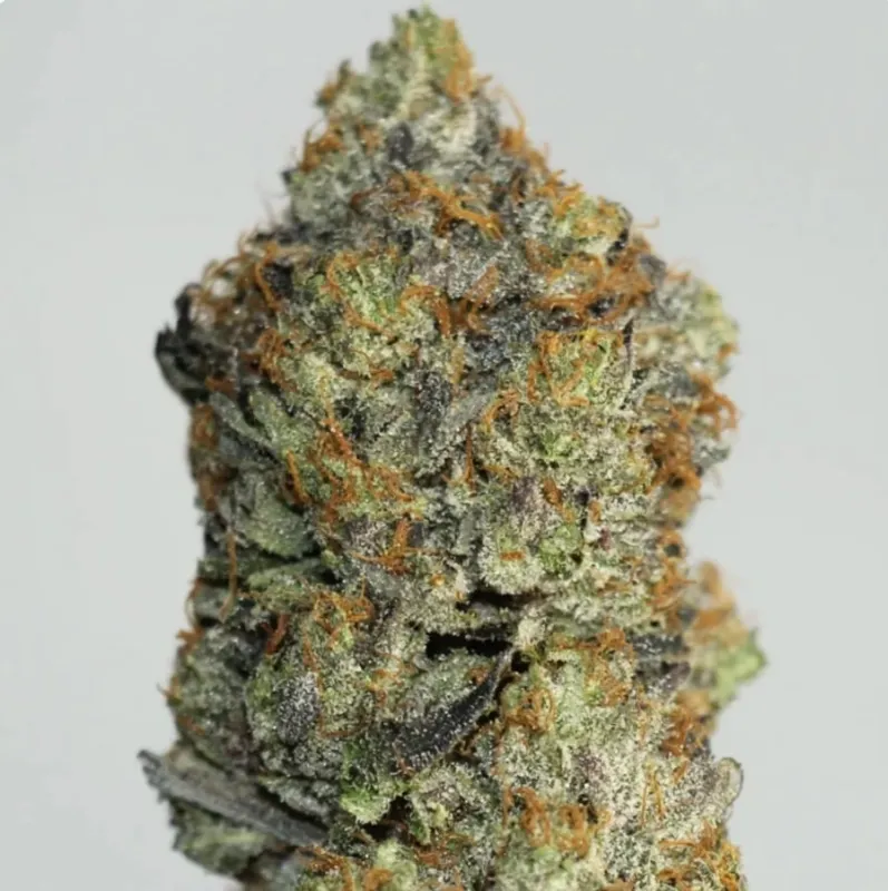 Astro Queen