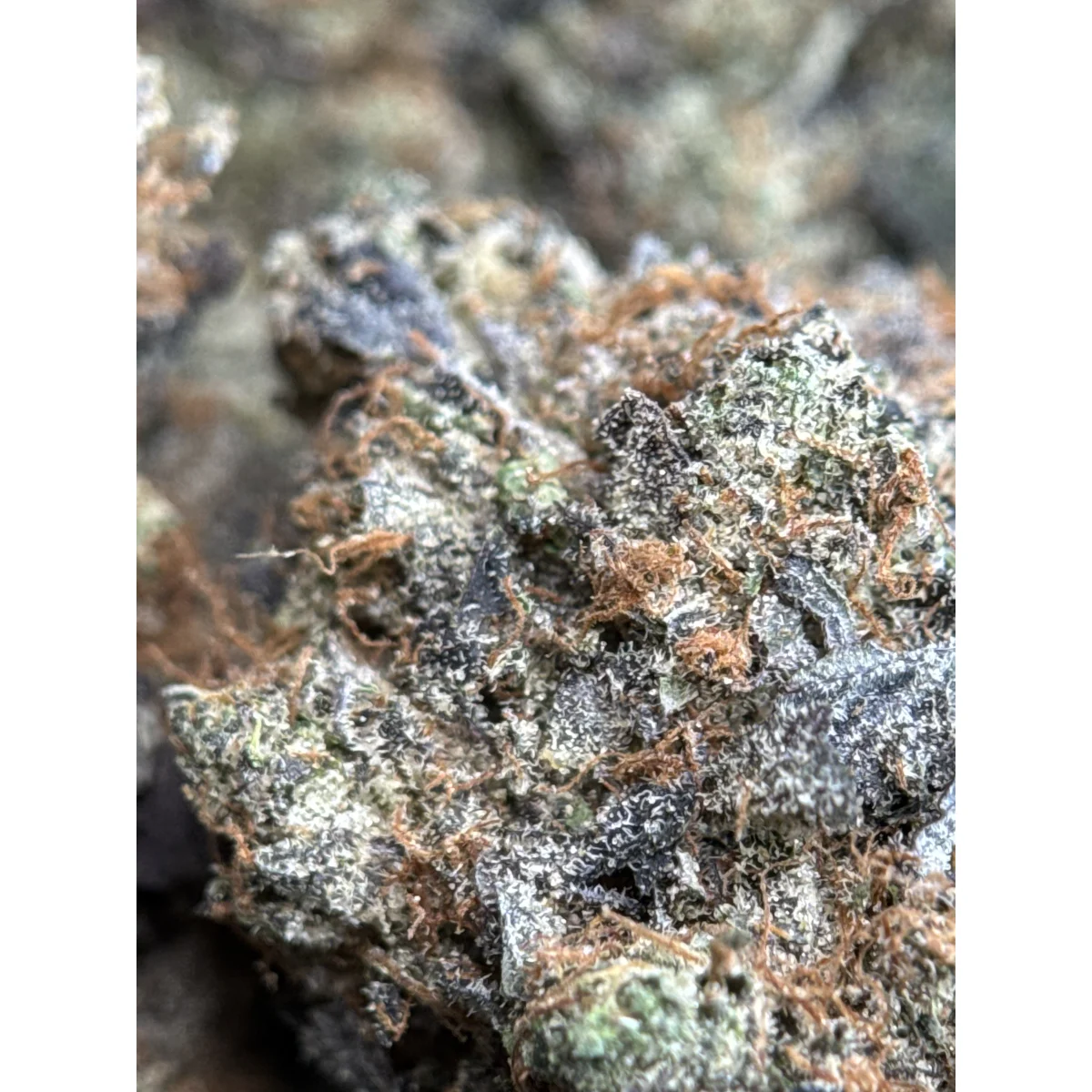 Death Bubba Flower from Kanata Cannabis in Ottawa 5