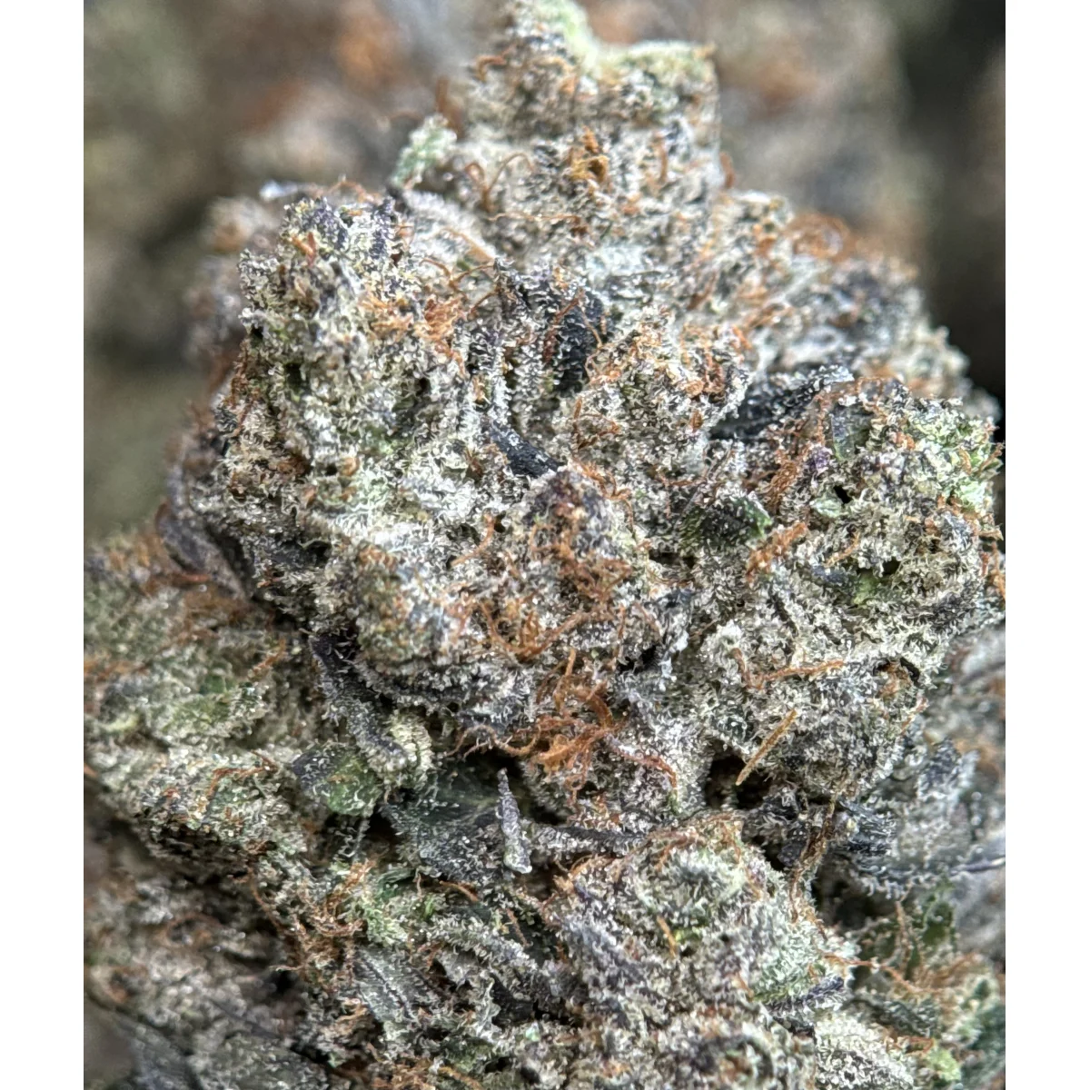 Death Bubba Flower from Kanata Cannabis in Ottawa 6