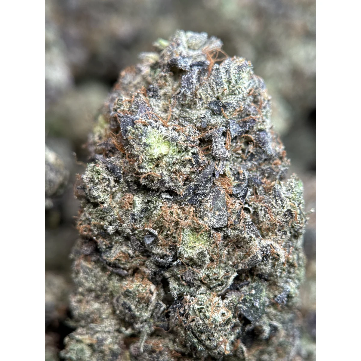 Death Bubba Flower from Kanata Cannabis in Ottawa 4