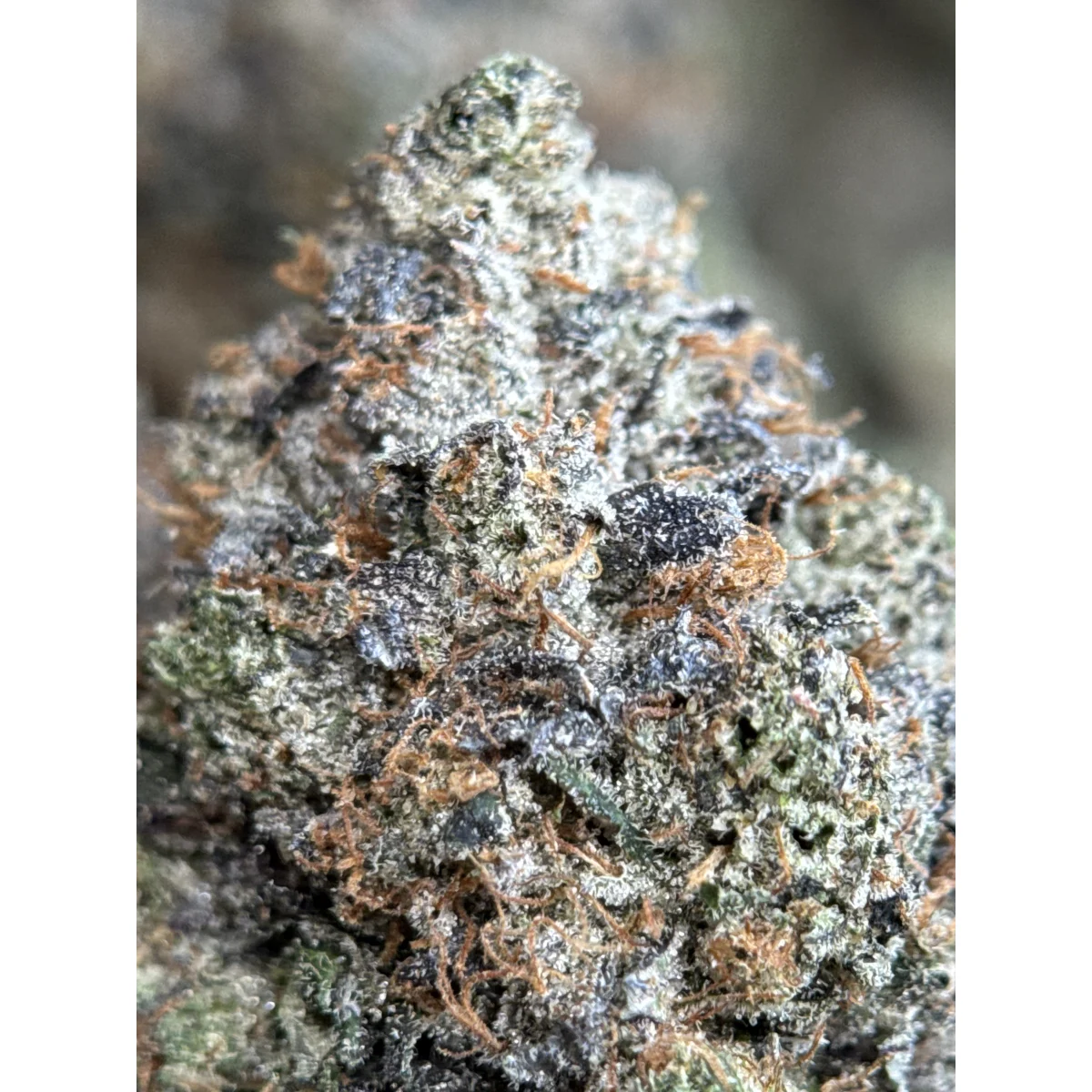 Death Bubba Flower from Kanata Cannabis in Ottawa 2