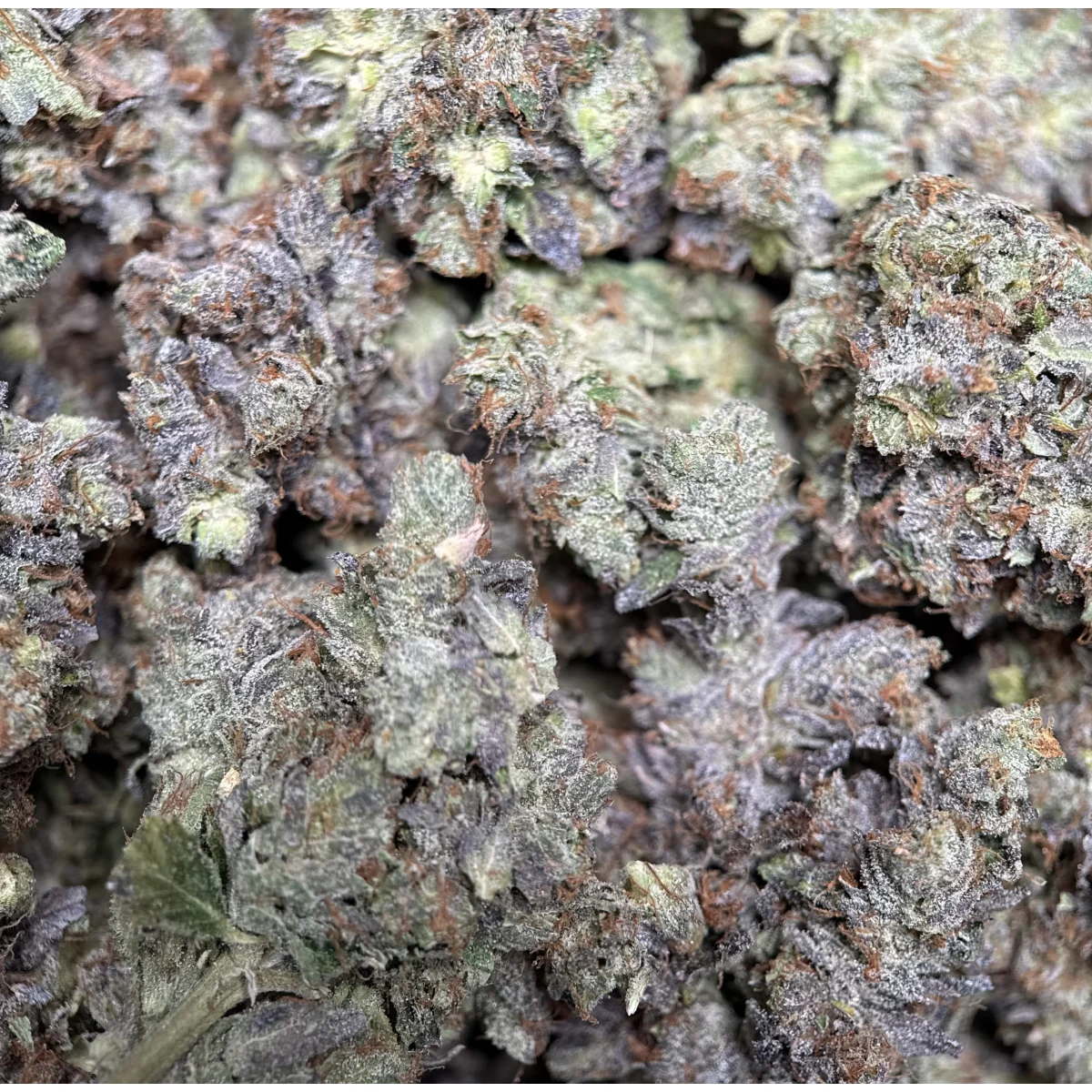 Stinky Pinky Flower from Kanata Cannabis in Ottawa 2