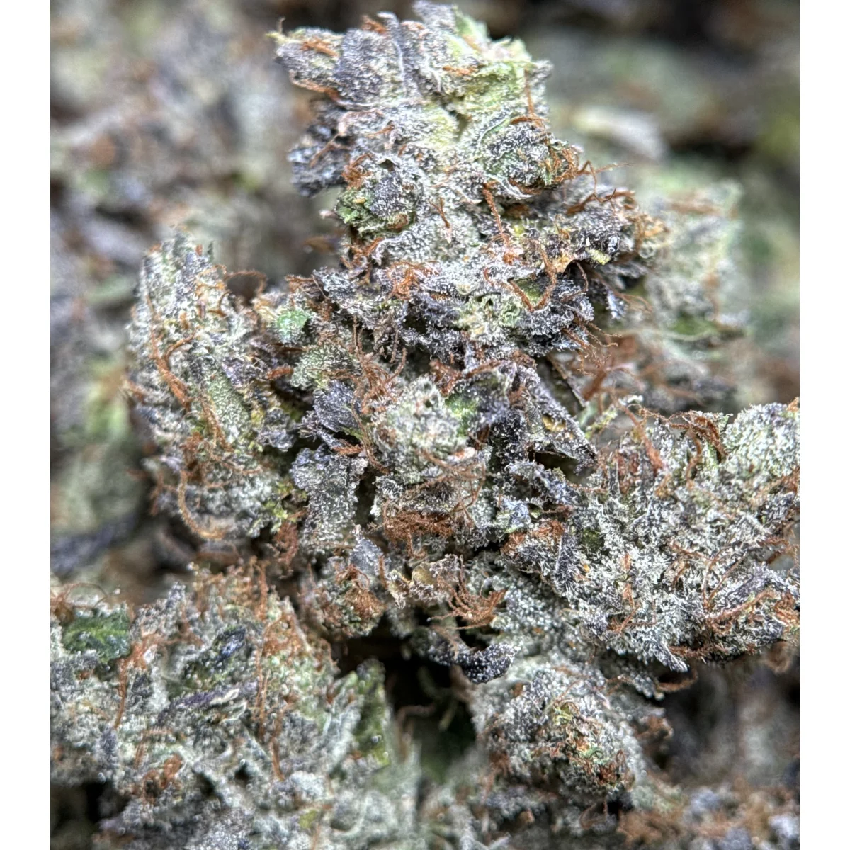 Stinky Pinky Flower from Kanata Cannabis in Ottawa 5