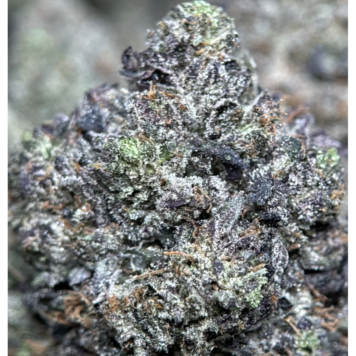 Black Roses Flower from Kanata Cannabis in Ottawa 6