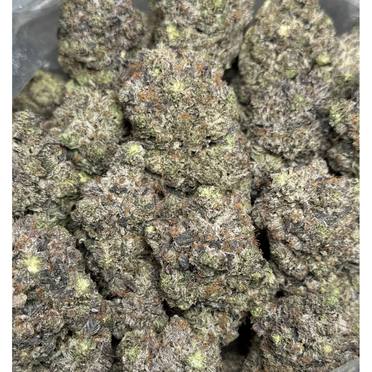 Black Roses Flower from Kanata Cannabis in Ottawa 4