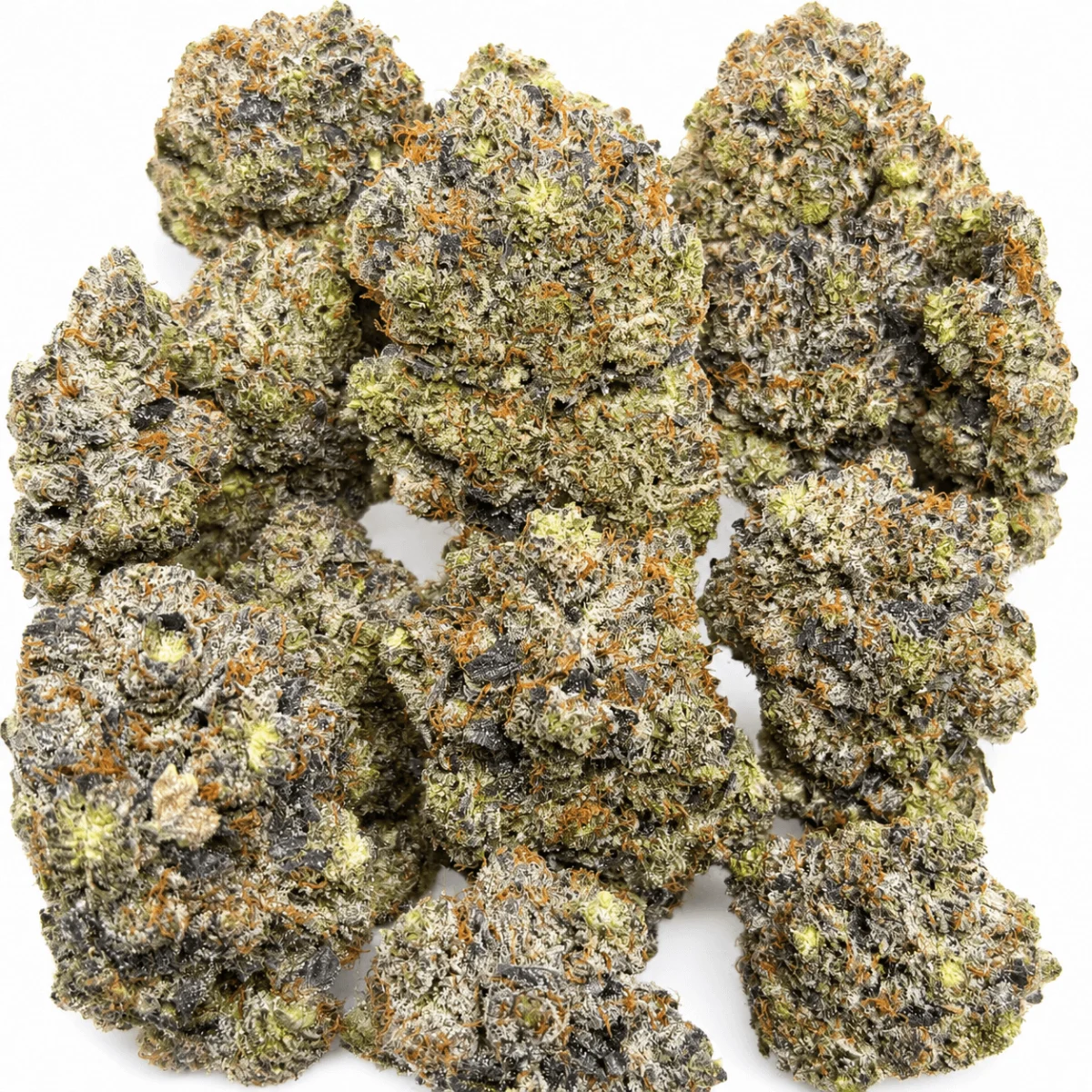 Black Roses Flower from Kanata Cannabis in Ottawa 2