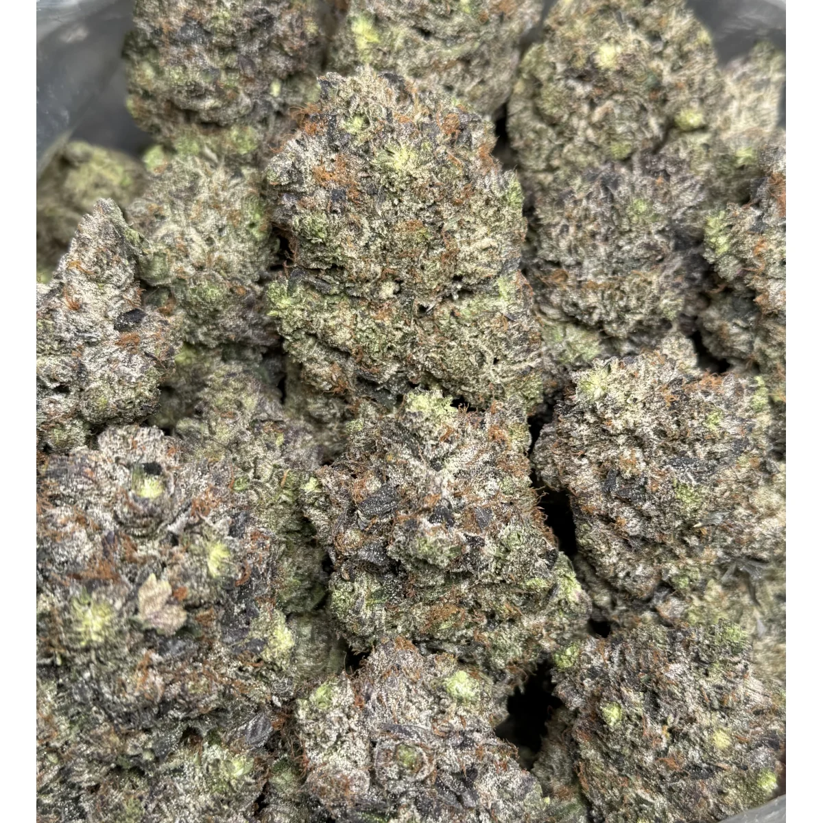 Black Roses Flower from Kanata Cannabis in Ottawa 3