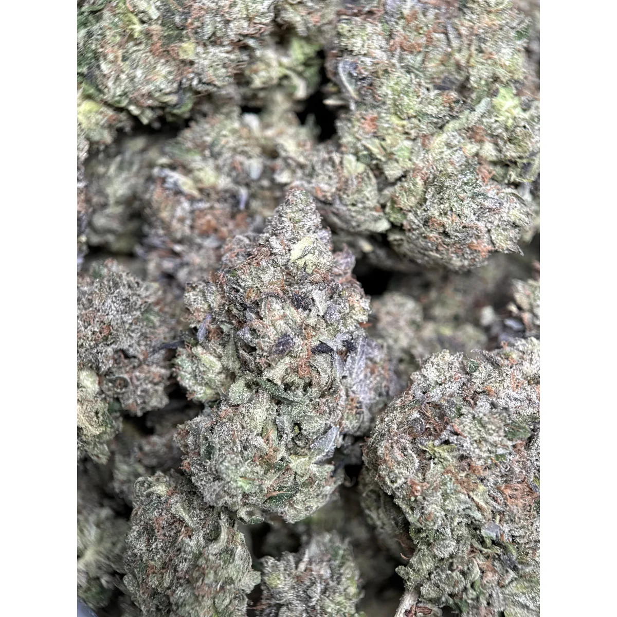 Pink Tuna Flower from Kanata Cannabis in Ottawa 5