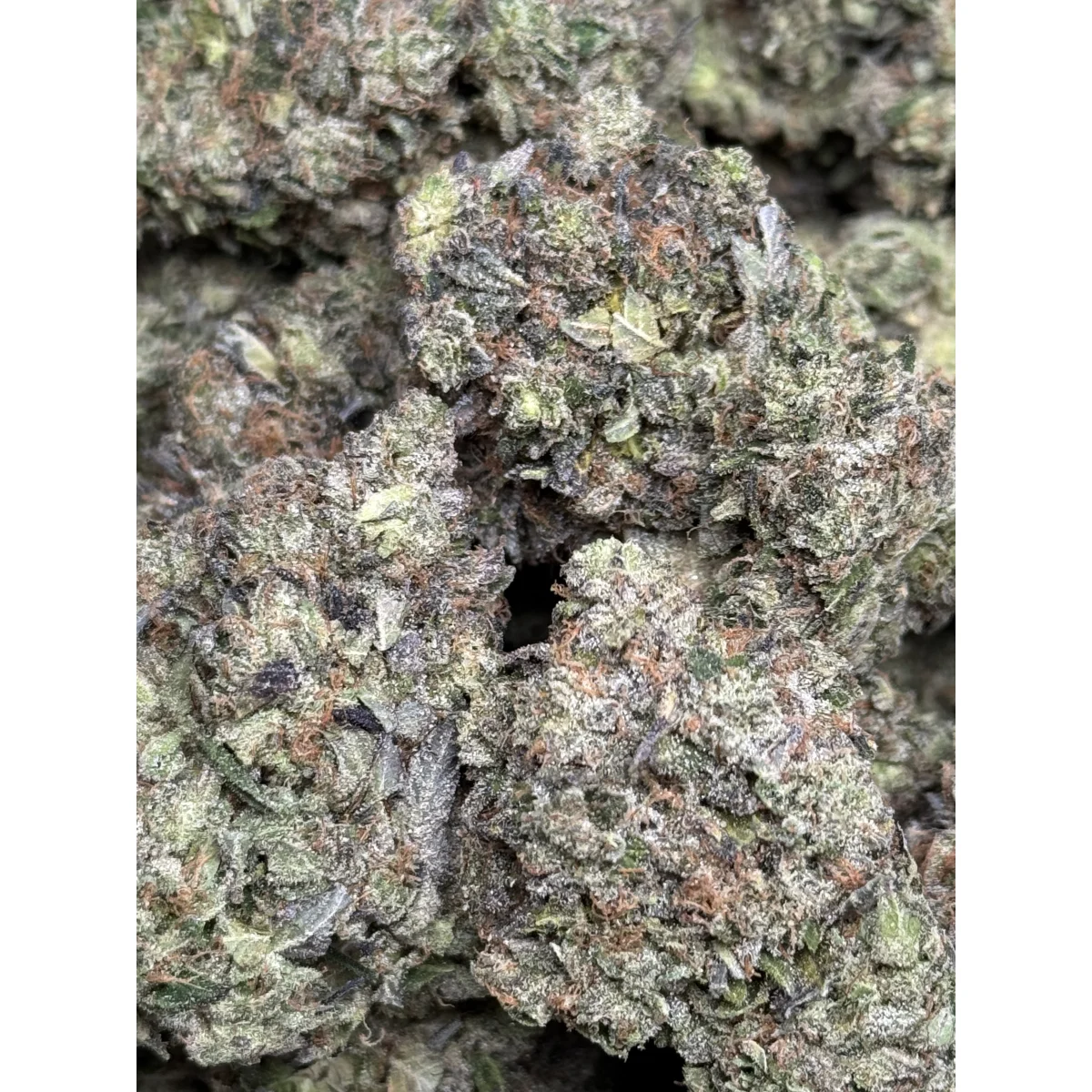 Pink Tuna Flower from Kanata Cannabis in Ottawa 6