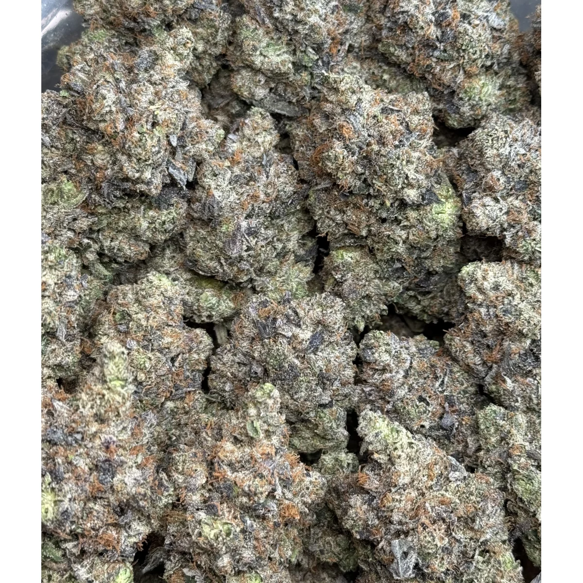 Death Tuna (Cali Bricks) Flower from Kanata Cannabis in Ottawa 3