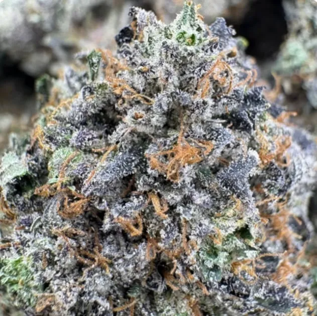 Death Tuna (Cali Bricks) Flower from Kanata Cannabis in Ottawa 2