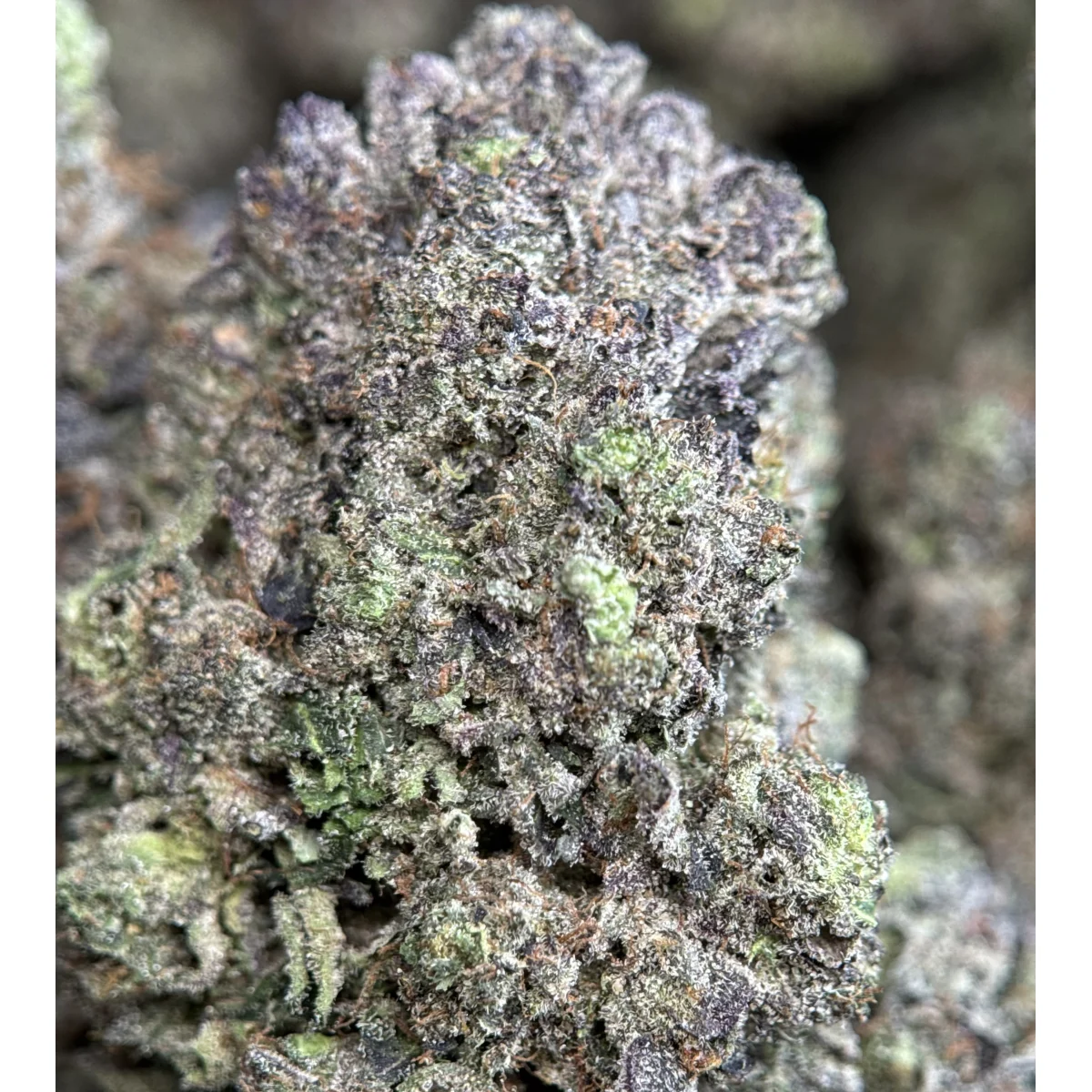 Pink Ice Flower from Kanata Cannabis in Ottawa 5