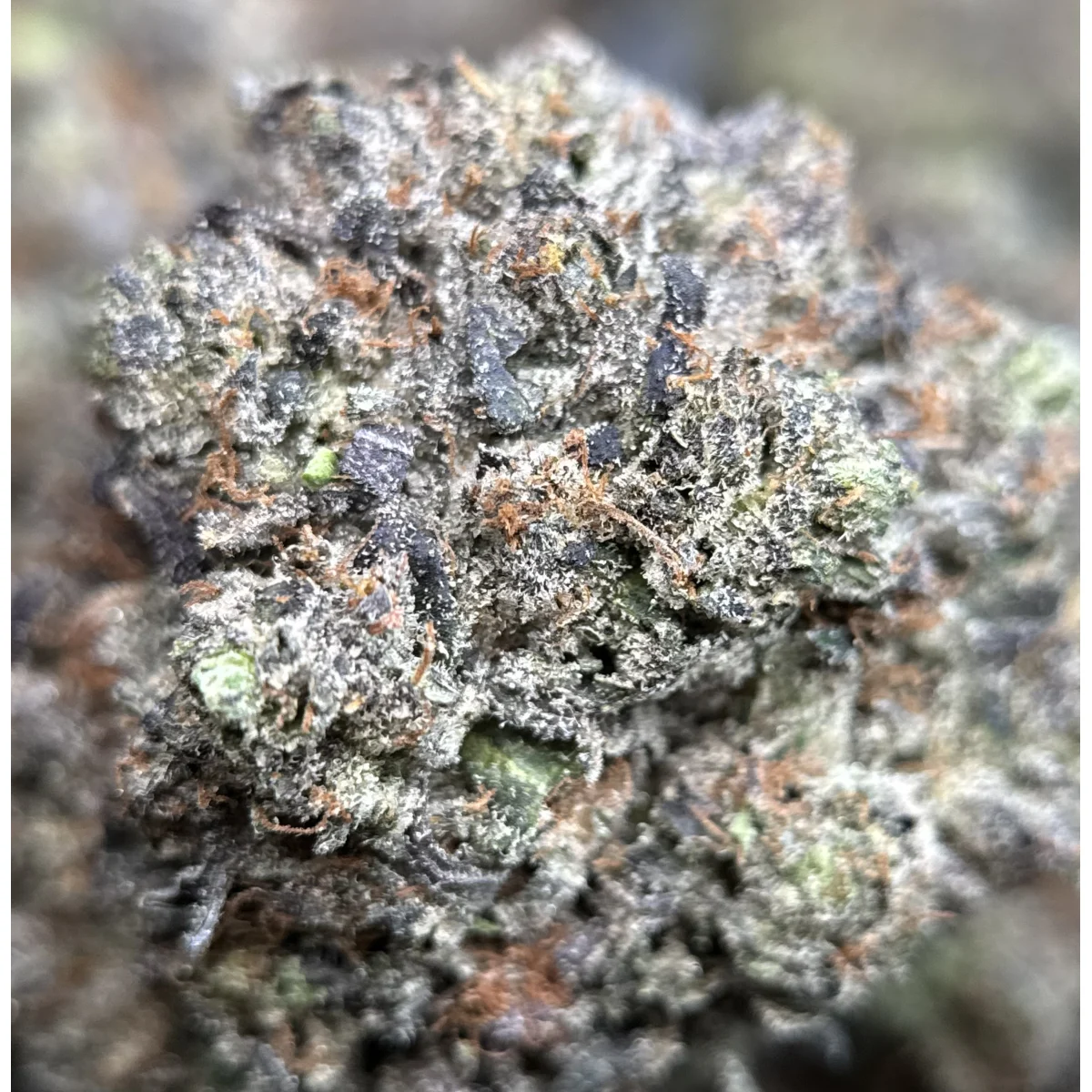 Pink Ice Flower from Kanata Cannabis in Ottawa 4