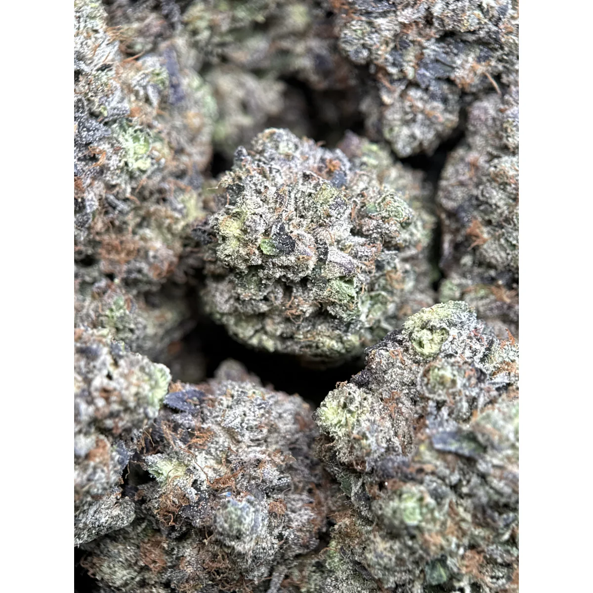 Pink Ice Flower from Kanata Cannabis in Ottawa 2