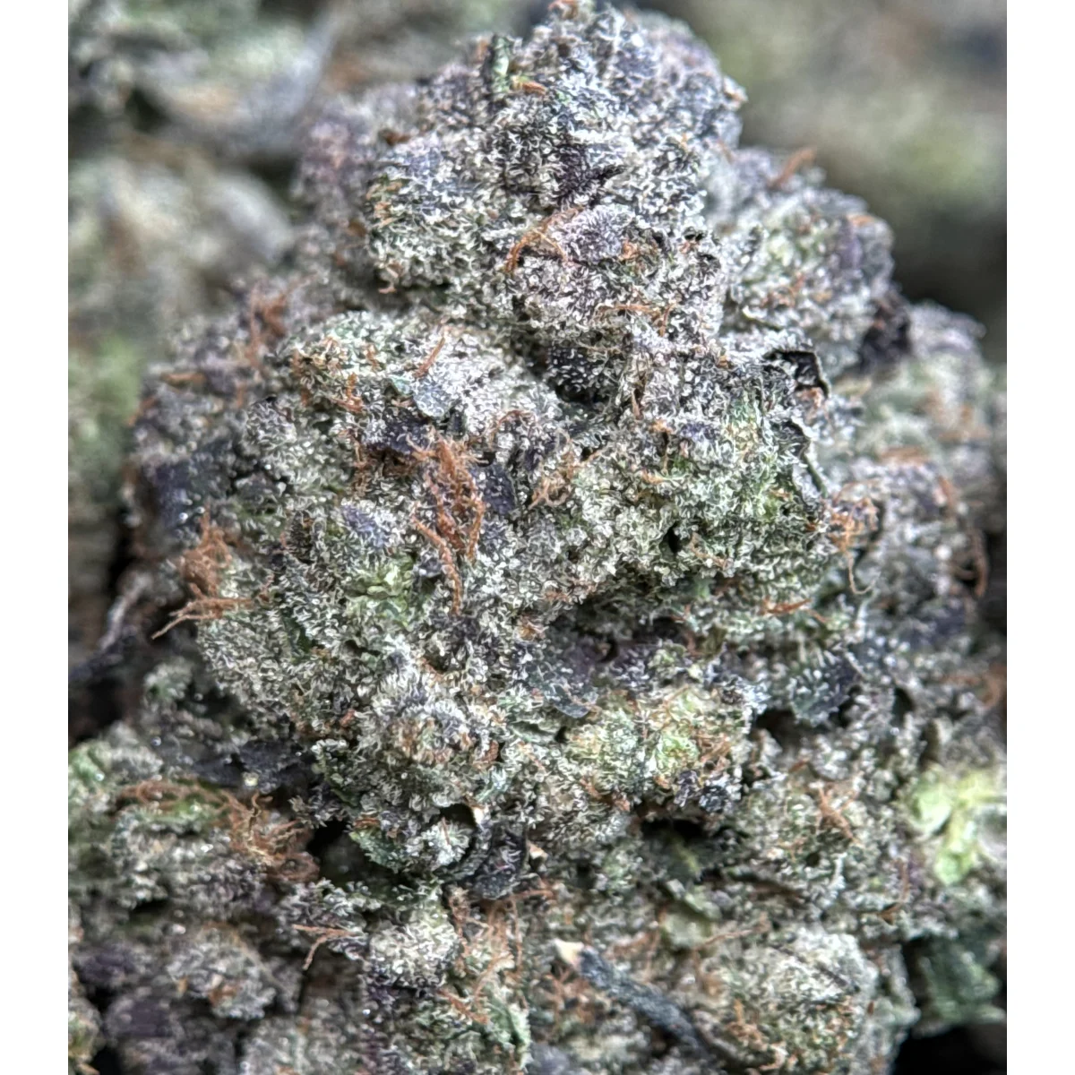 Pink Ice Flower from Kanata Cannabis in Ottawa 3