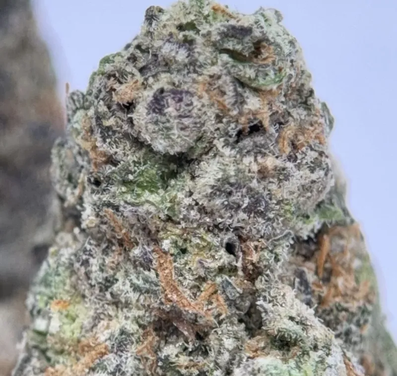 Black Ghost OG Flower from Kanata Cannabis in Ottawa 3